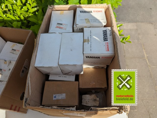 PXL_20240517_150700218